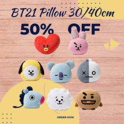 BTS BT21 Big Pillow 30/40 cm